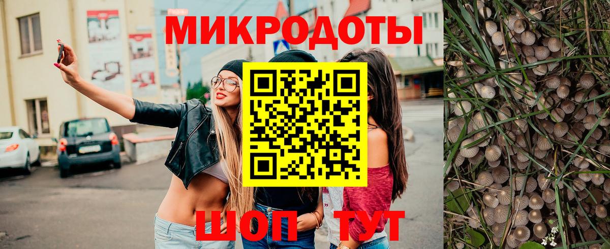 Галлюциногенные грибы мухоморы Архангельск
