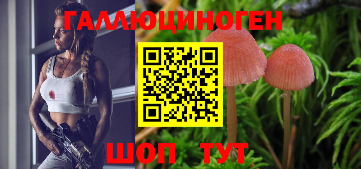 Архангельск  Псилоцибиновые грибы Cubensis  Псилоцибиновые грибы мухоморы  Вход с VPN 